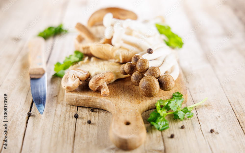 assortment of various mushrooms, chanterelle,shiitake... assortment of various mushrooms, chanterelle,shiitake...