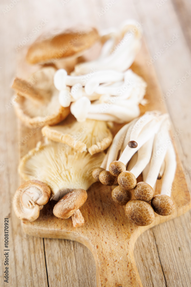 assortment of various mushrooms, chanterelle,shiitake... assortment of various mushrooms, chanterelle,shiitake...