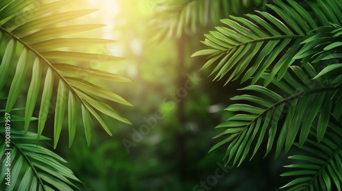 Lush Green Palm Leaves in Serene Natural Setting