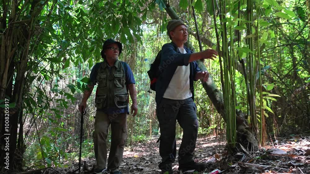 Two Elderly Man Wear Backpack And Hat Walking And Exploring Forest Together Two Elderly Man Wear Backpack And Hat Walking And Exploring Forest Together