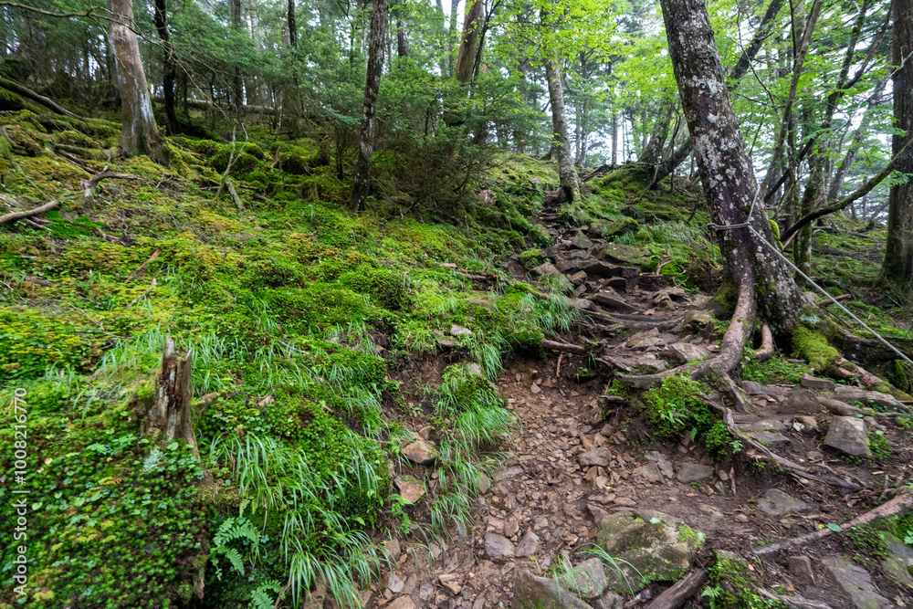 Obraz premium Hiking on Mountain Daibosatsu in Japan