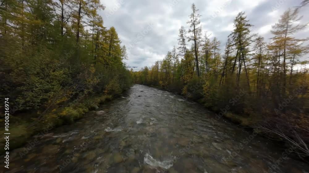 Experience the beauty of autumn as a drone glides over a winding river, surrounded by tall trees adorned in golden foliage. Nature’s tranquility captures the essence of the season. Experience the beauty of autumn as a drone glides over a winding river, surrounded by tall trees adorned in golden foliage. Nature’s tranquility captures the essence of the season.