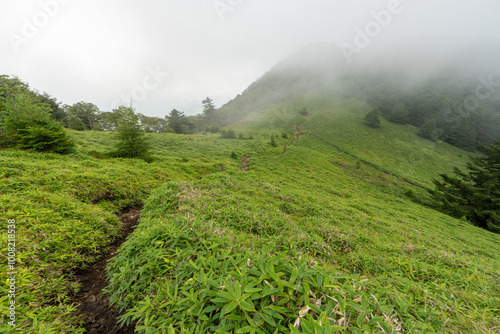 Hiking on Mountain Daibosatsu in Japan photo