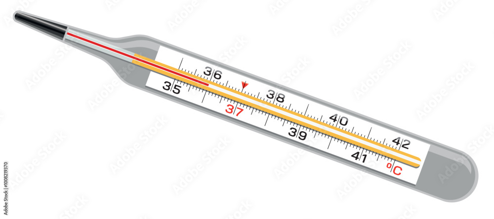 Mercury in Glass Thermometer Illustration Isolated on White Background Mercury in Glass Thermometer Illustration Isolated on White Background