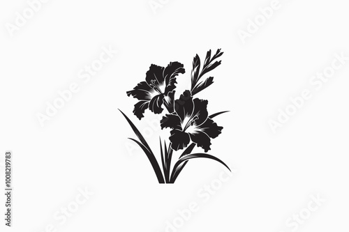 A vector silhouette image adobe illustrator of A  Gladiolus Flower..eps