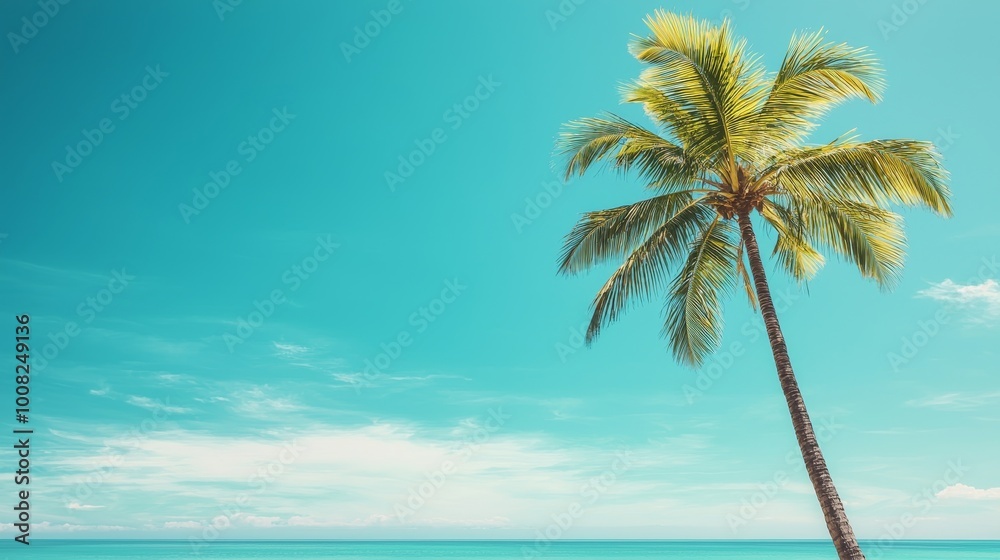 Single palm tree against a bright blue sky and serene ocean background. Single palm tree against a bright blue sky and serene ocean background.