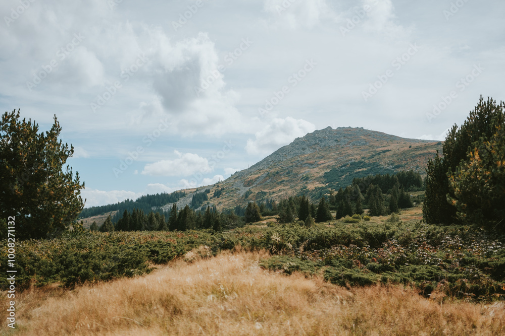 Fototapeta premium autumn in the mountains