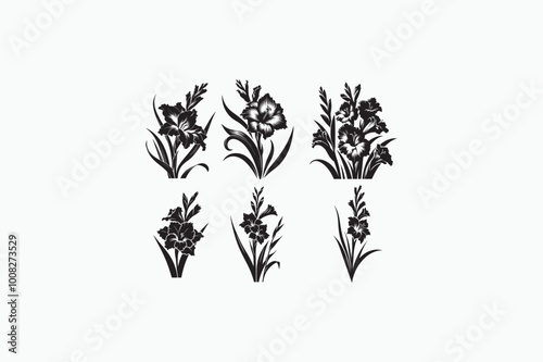 A Gladiolus Flowers vector silhouette image Adobe illustrator ..eps