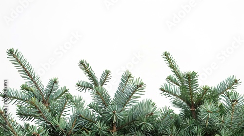 christmas background with christmas branches and decorations