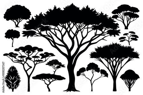 Acacia Tree Vector Collection, Set of Black and White silhouette of Acacia Tree.
