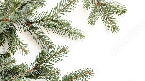 christmas background with christmas branches and decorations