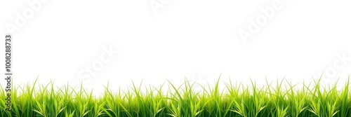 Lush Green Grass on White Background , Generate AI