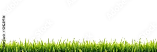 Lush Green Grass on White Background , Generate AI