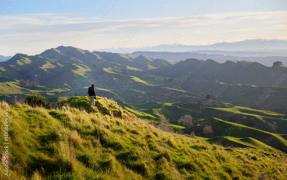 Man standing on top of the rolling hill. Te Mata Peak. Hawke’s Bay.