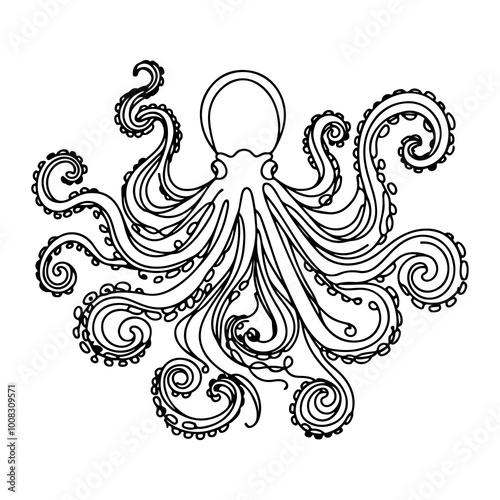 octopus one line art continuous drawing illustration, isolated ont transparent background, png  photo