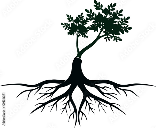 Tree and Roots Vector, tree with Round Shape with White Background
 photo