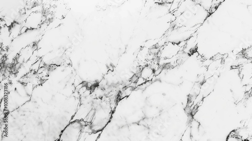 Elegant White Marble Texture with Dark Veins