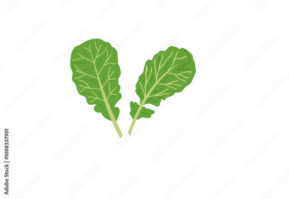 Naklejka premium diet food