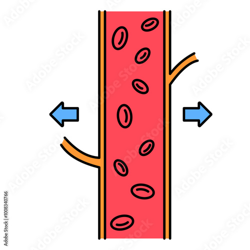 Vasodilation Blood Vessels