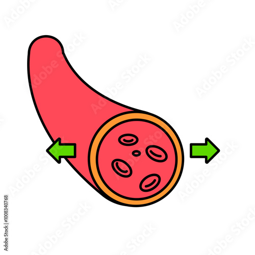 Vasodilation Blood Vessels