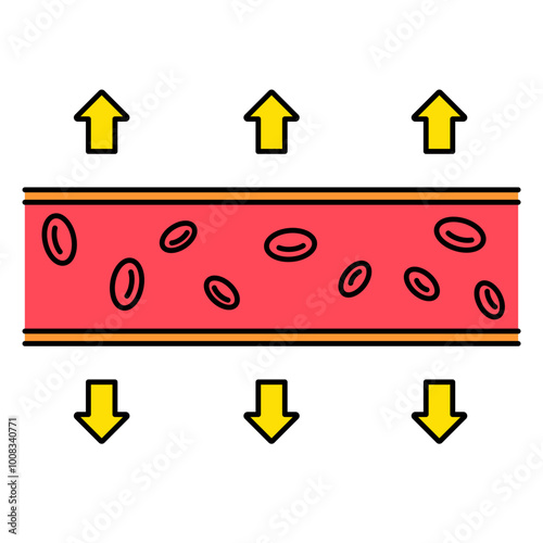 Vasodilation Blood Vessels