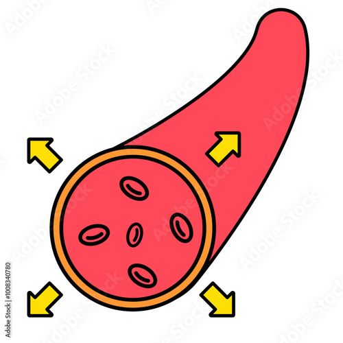 Vasodilation Blood Vessels