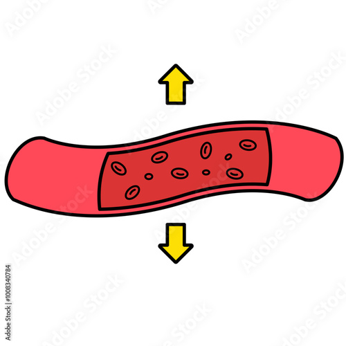 Vasodilation Blood Vessels