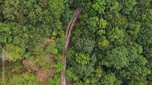 Majestic Aerial View of Bosnia and Herzegovina's Mountain Peaks and Valleys - 4K Drone Footage of Idyllic Woodland and Wilderness Adventure
