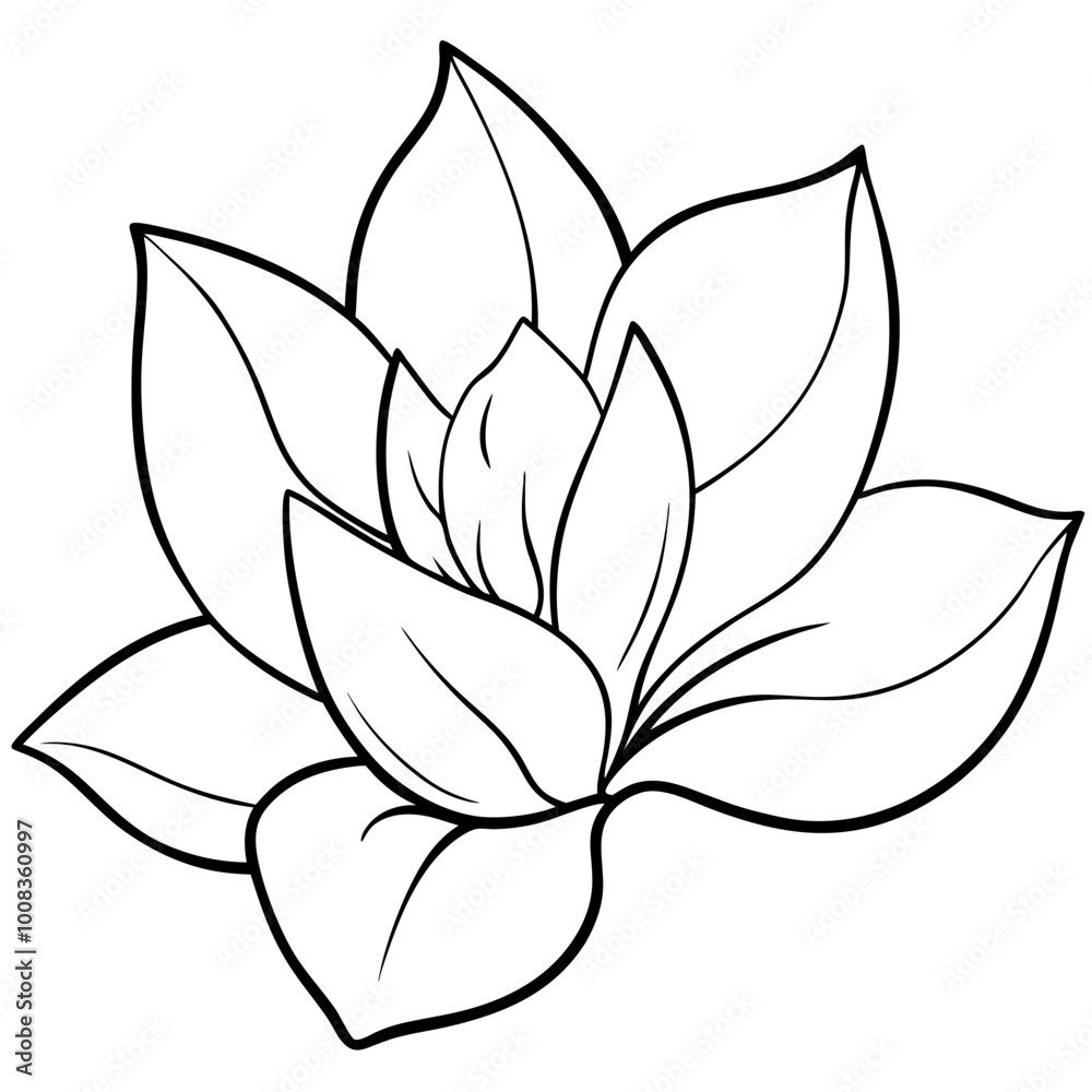 Obraz premium Hand Drawn Magnolia Flower in a Stunning Vector Illustration Style 