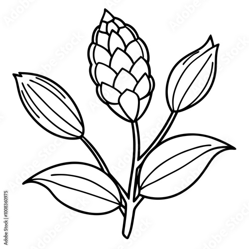 Beautiful milkweed pods and flowers captured in a detailed vector illustration
