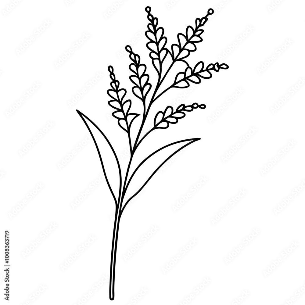 Fototapeta premium Vector Illustration of a Stem of Goldenrod with Dense Clusters of Tiny Flowers in a Bright Field 
