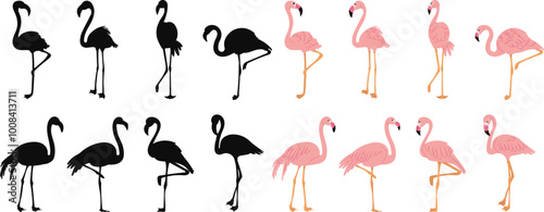 Set of pink flamingos in flat style on white background, vector