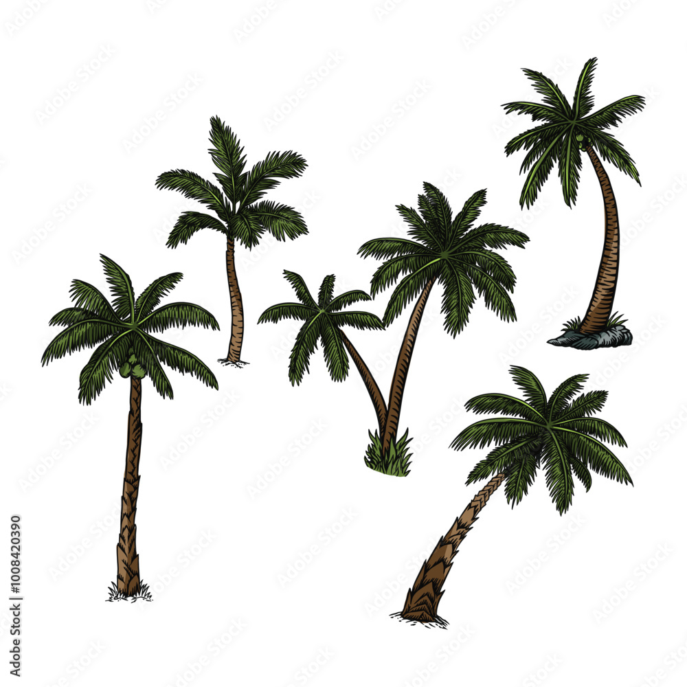 Fototapeta premium coconut tree in vector illustration