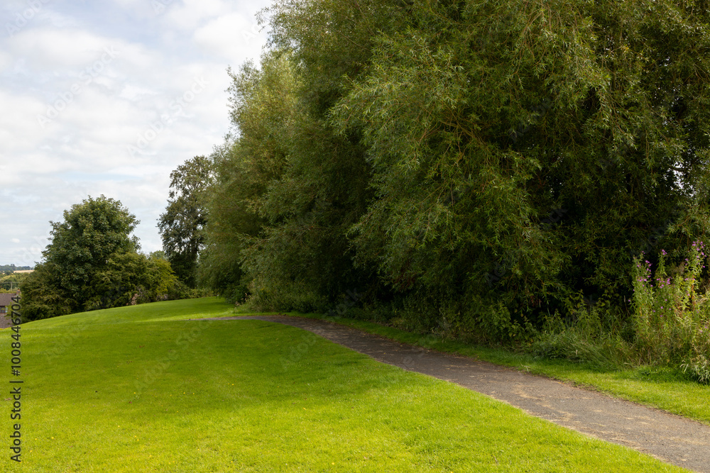 Public urban tarmac footpath between cut grass slope and willow, salix, sallows, osiers, trees with rosebay willow herb fireweed plants