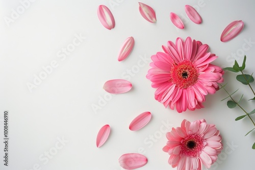 Vibrant pink gerbera daisy accompanied by delicate petals on a clean background, showcasing the beauty of floral photography and nature-inspired design.






