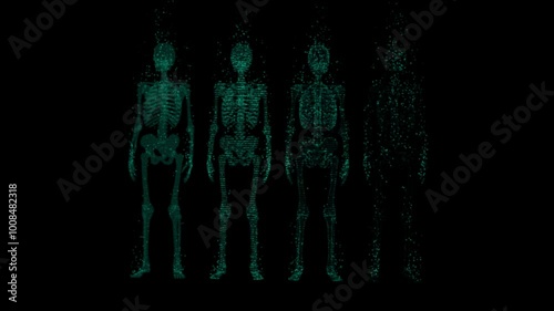 Digital matrix skeletons. A futuristic display.