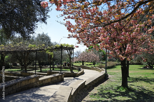 parco del poggio colli aminei, naples, italy photo