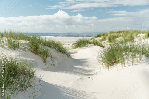 Dünenlandschaft an der Nordsee photo