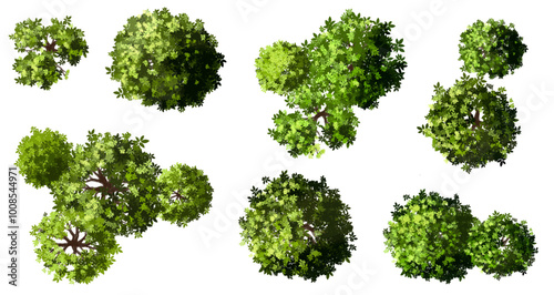 Vertor set of green tree,plants top view for landscape plan,schematic layout,eco environment concept design,watercolor greenery illustration