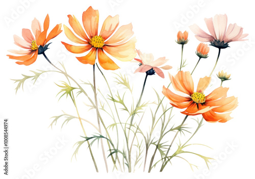 Wallpaper Mural PNG Flower petal plant inflorescence. Torontodigital.ca