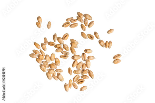 wheat grains isolated on white background 