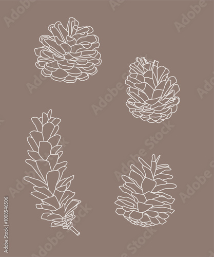 Pigna stilizzata. Illustrazione pigna minimale monolinea. Sfondo natura, autunno, bosco.