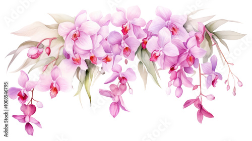 PNG Blossom flower orchid petal.