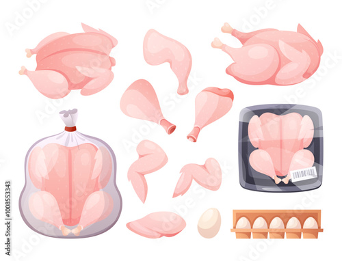 Chicken meat. Vector set of whole raw chicken in tray packing with wings, chicken drumsticks, breast halves fillets, eggs in box. Broiler turkey meat. Poultry package for supermarket, grocery market