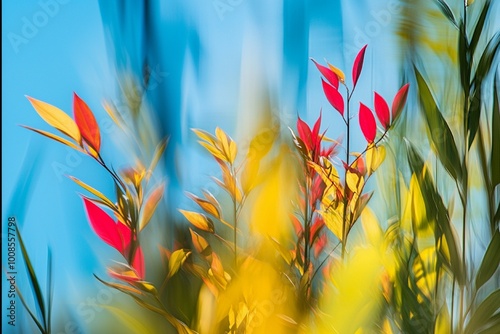 Colorful Abstract Foliage Blurred Against a Bright Blue Sky