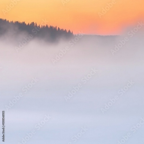 fog in nature