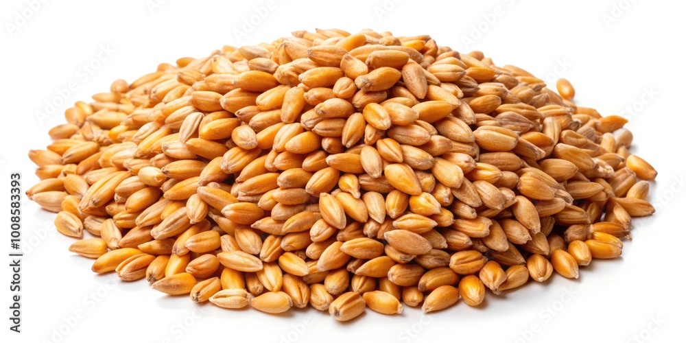Isolated Wheat Seeds on White Background for Agricultural, Culinary, and Nutritional Concepts Isolated Wheat Seeds on White Background for Agricultural, Culinary, and Nutritional Concepts
