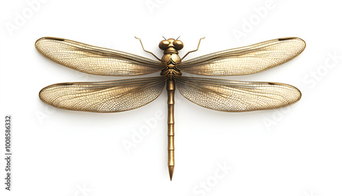 A detailed 3D illustration of a gold dragonfly set against a pristine white background, showcasing its intricate features.