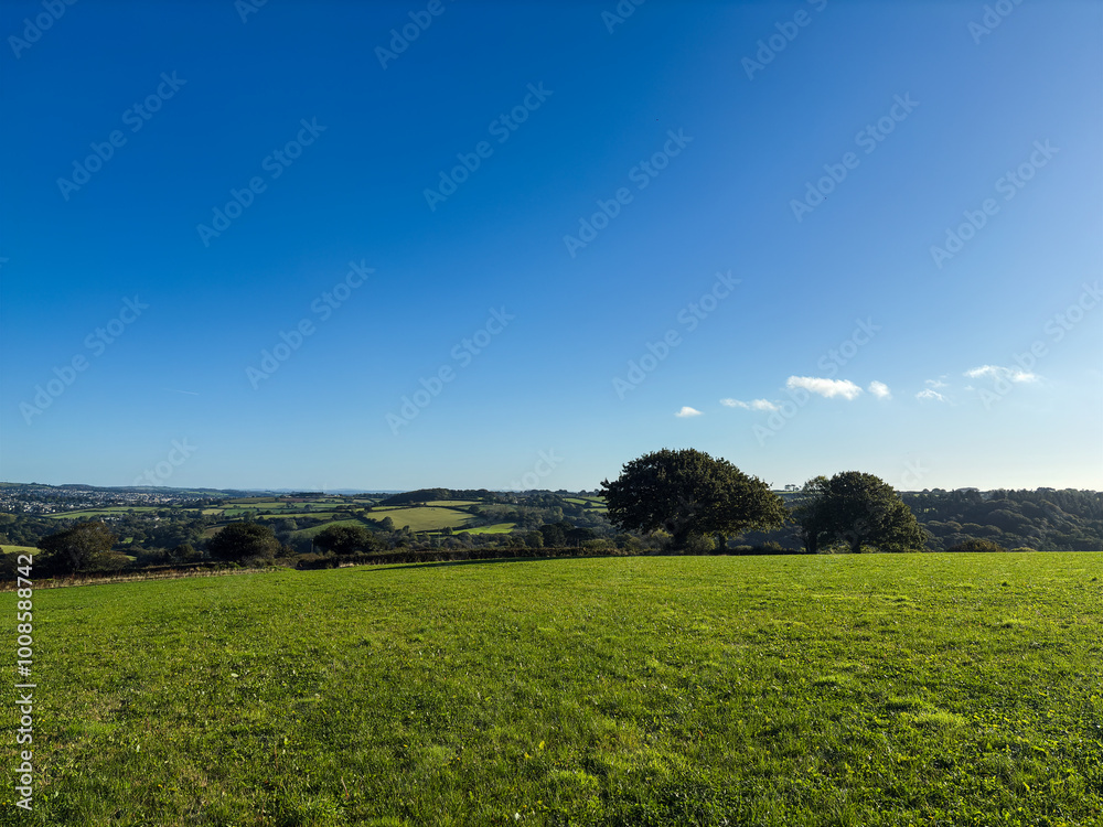 Obraz premium Rural Cornish field and blue sky.
