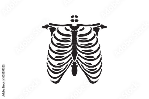 Torso, skeleton, ribcage, anatomy, bones, x-ray, chest, thorax, vertebrae, spine, sternum, monochrome, black and white, contrast, silhouette, graphic, illustration, vector, stylized, medical, biologic